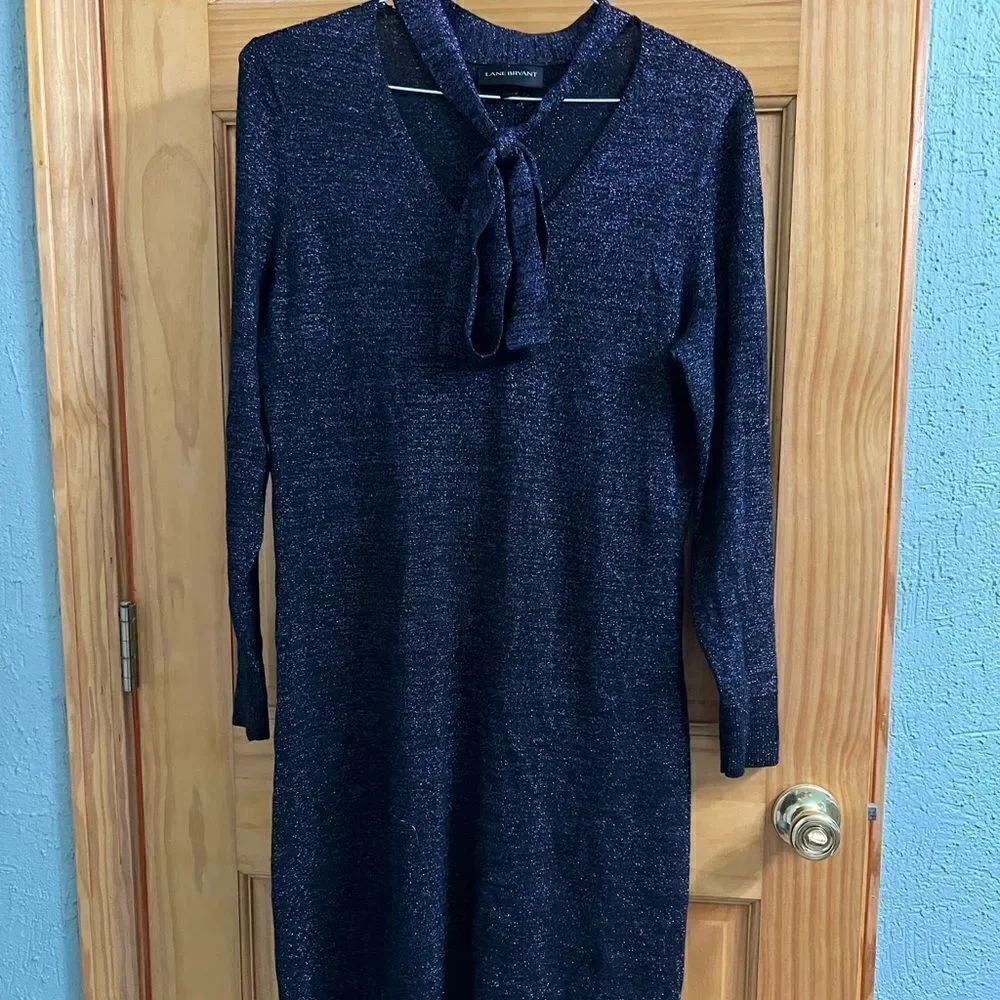 Lane Bryant purple glitter dress size 14/16